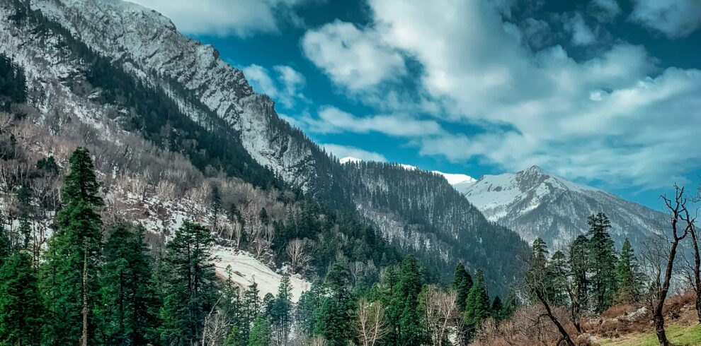 vivek-ADKiS6V2Za8-unsplash